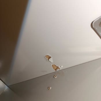 Bellona Ve Bellona Kozyatağı Şubesi