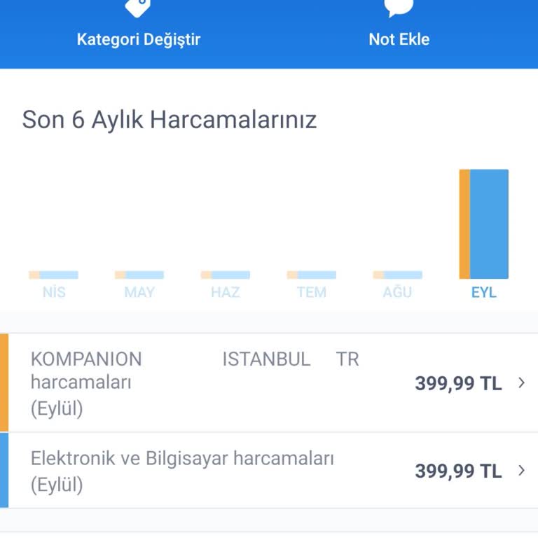 Kompanion Yanıltıcı Ödeme İşlemleri Ve Para İadesi Talebi