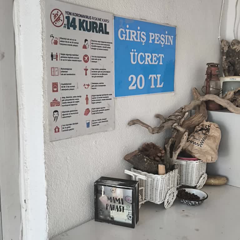 Gestaş Deniz Ulaşım Bozcaada'da Fahiş Fiyatlar Ve Hayal Kırıklığı