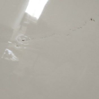 Penguen Yazı Tahtası Güvensiz Ticaret Yapıyor