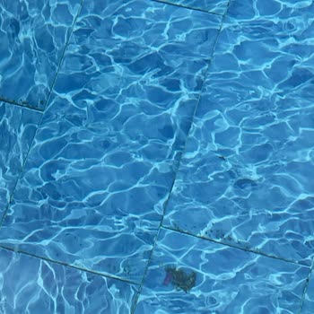 Alis Paradise Bungalov Korkunç Bir Konaklama Deneyimi