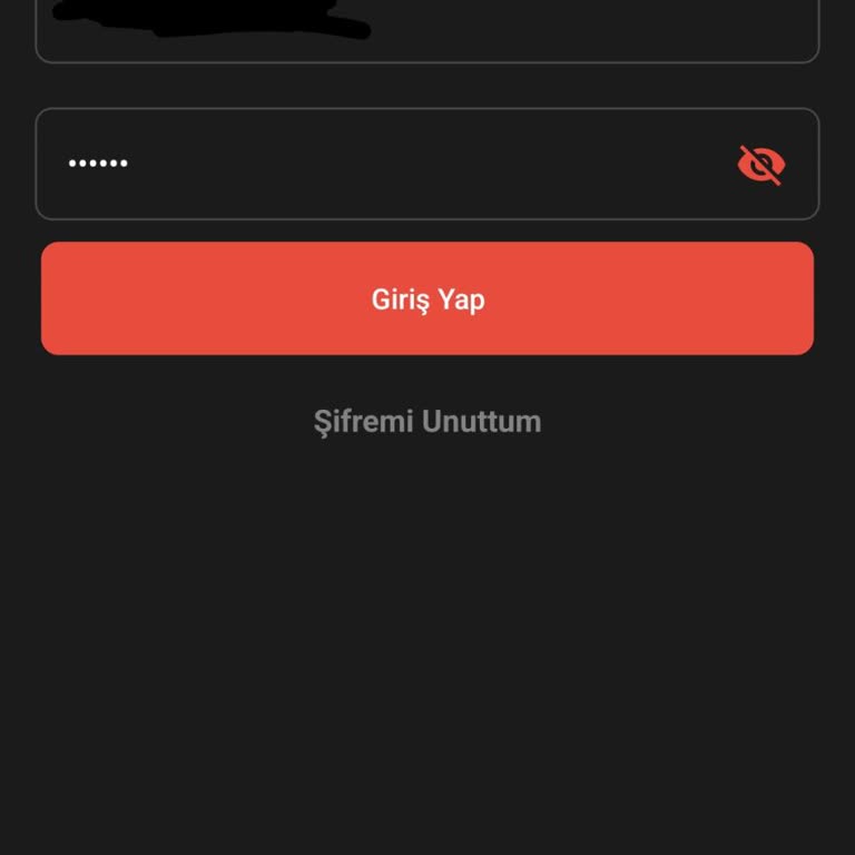Payfix Hesap Blokesi Kaldırmasını İstiyorum