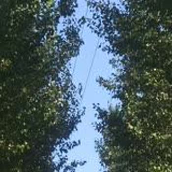 VEDAŞ VEPSAŞ Elektrik Tellerine Çözüm