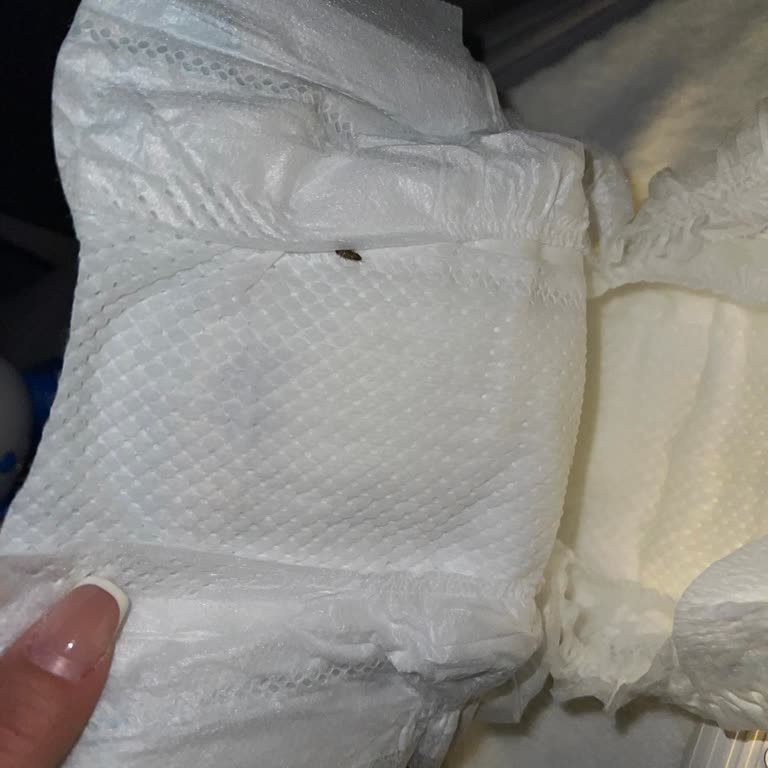 Pampers Premium Care Насекомые В Подгузнике