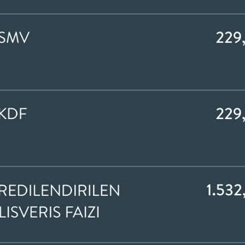 TEB Kredilendirilmiş Borç Tutarı