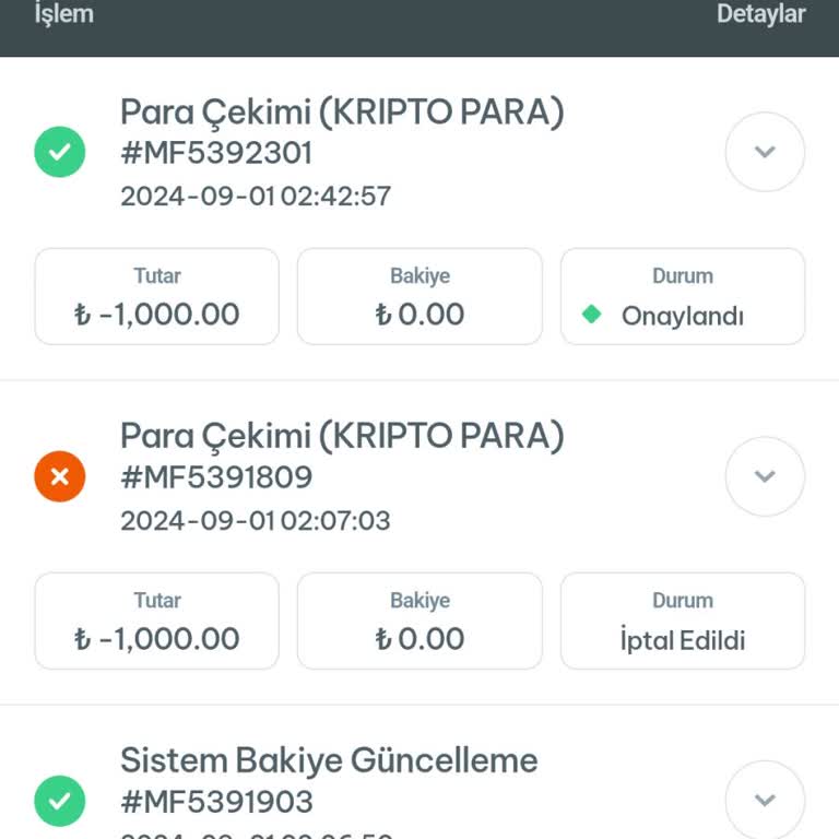 Betine Firması Bakiyemi Sıfırladı