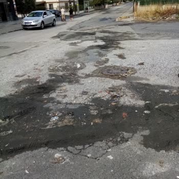 Çorlu Belediyesi Taşan Rögar Ve Ölü Fareler