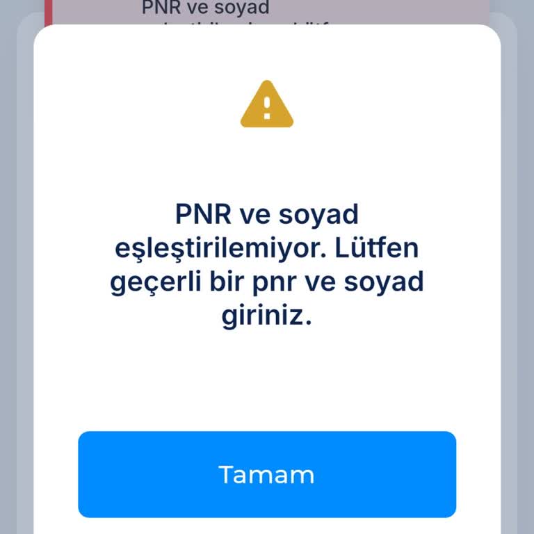 AJet Online Check-in Yapılamaması