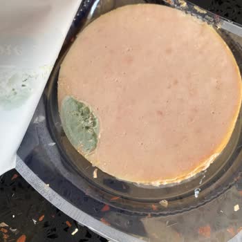 Maret Son Kullanma Tarihi Geçmemiş Üründe Küf Sorunu