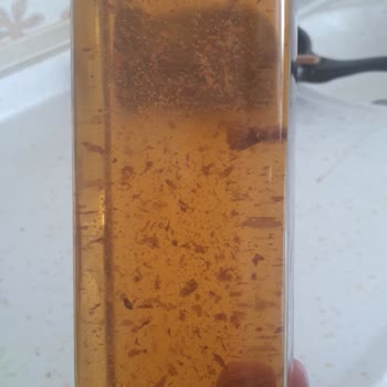 Torku Üzüm Sirkesi Tortu Oluştu