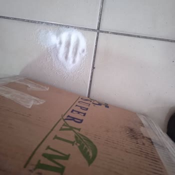 MNG Kargo Kırık Dökük Teslim Ediyor