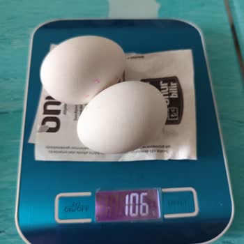 Keskinoğlu Büyük Boy Yumurta Aldatmacası. L Boy Yumurtalar Çok Küçük