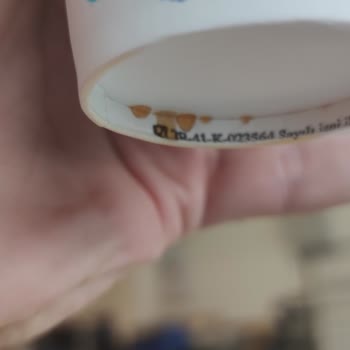 Avansas Mi Bir Kere Daha Düşün