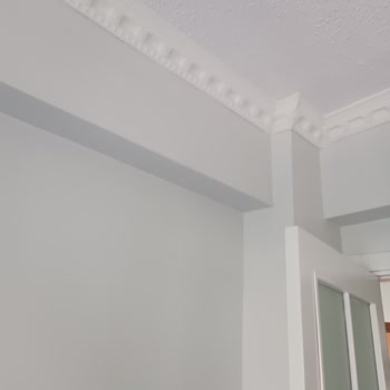 Dyo 1071 Tülden Renk Uyuşmazlığı