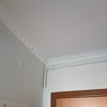 Dyo 1071 Tülden Renk Uyuşmazlığı