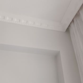 Dyo 1071 Tülden Renk Uyuşmazlığı