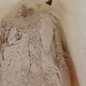 Şok Marketler Piyale Un İçinden Çıkan Böcek