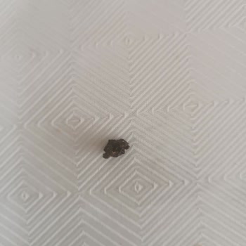 Doritos Cips İçinden Çıkan Parça