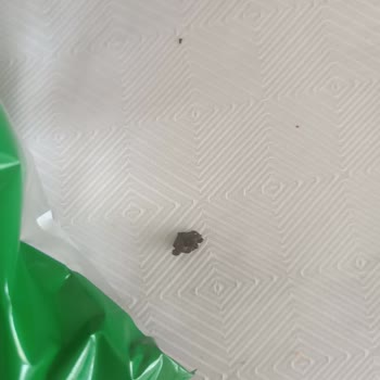 Doritos Cips İçinden Çıkan Parça