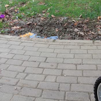 Pendik Belediyesi Nene Hatun Parkı'nda Aşırı Sulama Çocukları Tehlikeye Atıyor!