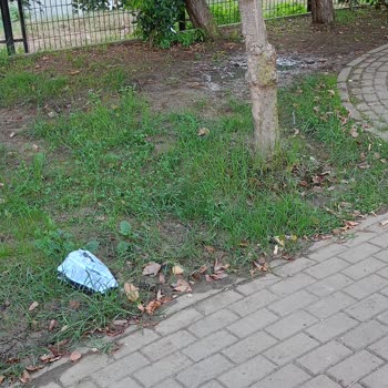 Pendik Belediyesi Nene Hatun Parkı'nda Aşırı Sulama Çocukları Tehlikeye Atıyor!