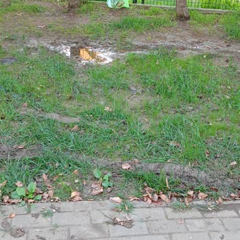 Pendik Belediyesi Nene Hatun Parkı'nda Aşırı Sulama Çocukları Tehlikeye Atıyor!