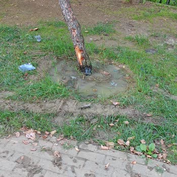 Pendik Belediyesi Nene Hatun Parkı'nda Aşırı Sulama Çocukları Tehlikeye Atıyor!
