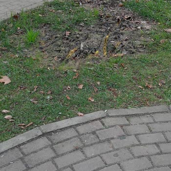 Pendik Belediyesi Nene Hatun Parkı'nda Aşırı Sulama Çocukları Tehlikeye Atıyor!