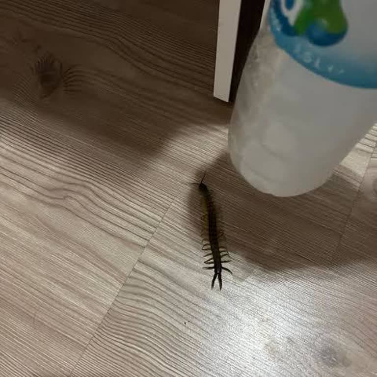 Jolly Tur Başlamadan Biten Tatil