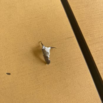 Özsüt Mağazadan Aldığım Tatlıda Yabancı Cisim Çıktı