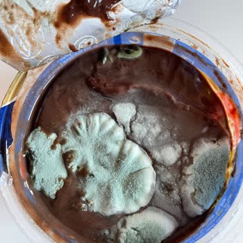 Migros Hemen Üzerinden Alınan Eker Marka Supangle