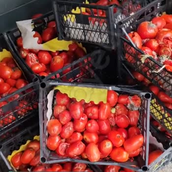 Sefaköy A101 Kartaltepe Mahallesi Erken Sokak Kokusu