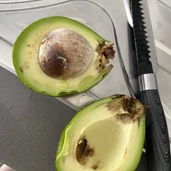 Tazemasa Taze Masa Çürük Ürün Gönderimi