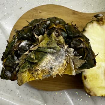 Özdilek AVM Özdilek'ten Aldığım Ananas Bozuk Ve Küflü Çıktı