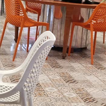 Westpark Outlet AVM Westpark Yemek Yeme Bölümü Kediler.