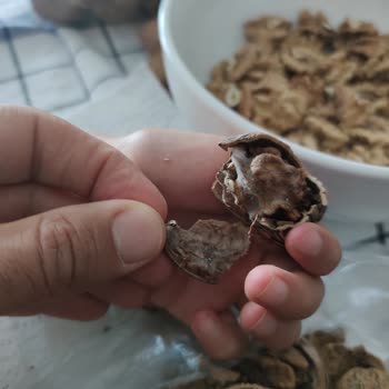 Altunbilekler *"Satın Alınan Ceviz Ürününün Kalitesi Hakkında Şikayet"**