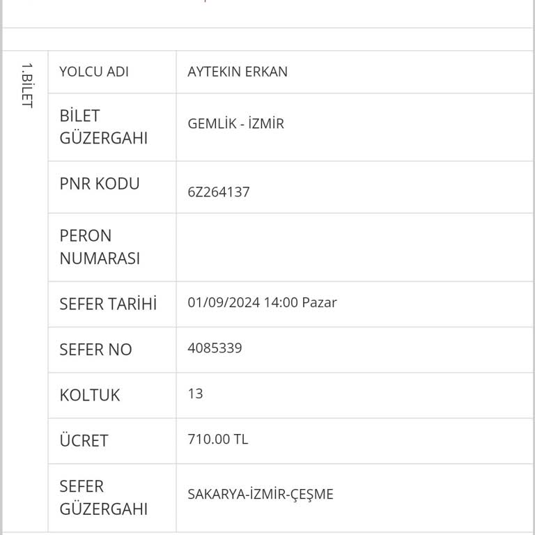 Pamukkale Seyahat Gecikme Sorunu