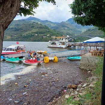 Ayvalık Belediyesi Ayvacık'ta Doğal Güzelliklerin Korunması İçin Acil Önlemler Gerekli