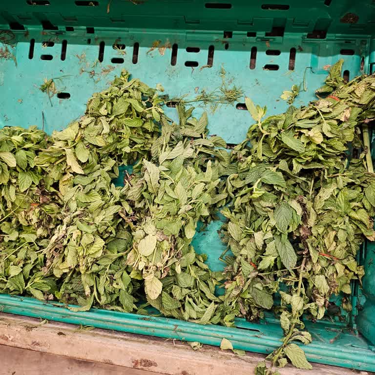 Migros Didim Çöp Satıyor Millete