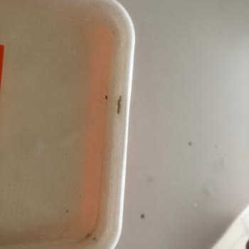 Migros Hemen Bozuk Ürün Gönderimi