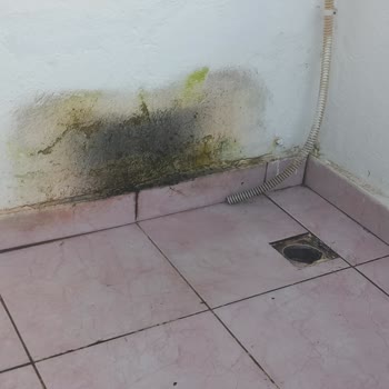 Tatilbudur Alanya'da Kötü Otel Deneyimi: Hijyen Sorunları Ve İlgisizlik