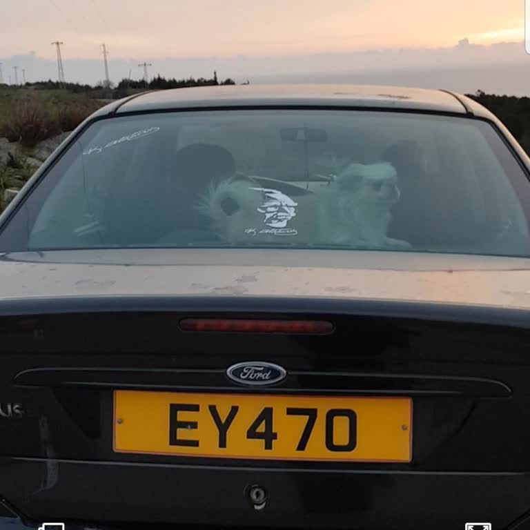 Ford Svalin Otel Aracımı Caldılar Bayanı Mağdur Bıraktılar