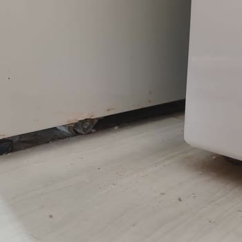 Profilo Buzdolabımızda 3 Yılda Çürümeler Paslanmalar Oluştu