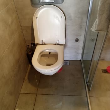 Jolly Tur Ve Jura Hotel Bodrum Planlı Dolan Dirilik