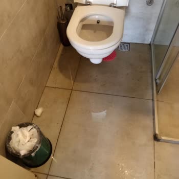 Jolly Tur Ve Jura Hotel Bodrum Planlı Dolan Dirilik