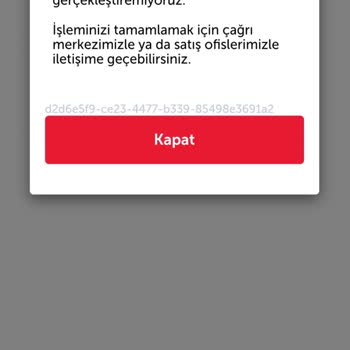 THY Business Class Bilet Sorgulaması Yapılamaması