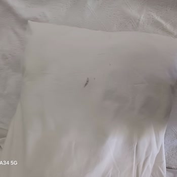 Afytos Akçay Otel Gerçekten Hayal Kırıklığı Yaratan Bir Tatil Deneyimi