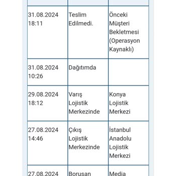 Borusan Lojistik Kargom Bir Türlü Gelemedi