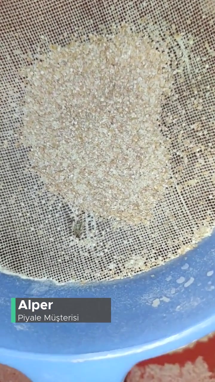 Bursa Mudanya Göynüklü Şok Marketten Alınan Piyale Un Bozuk Çıktı! videonun kapak resmi