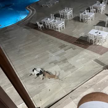 Club Dedeman Aldığı Paranın Karşılığı Hizmet Etmiyor